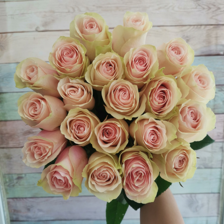 21 роза Эквадор Фрутетто