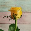 Роза Ол Райт