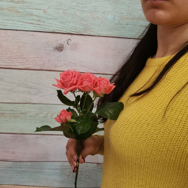 Роза кустовая Барбадос