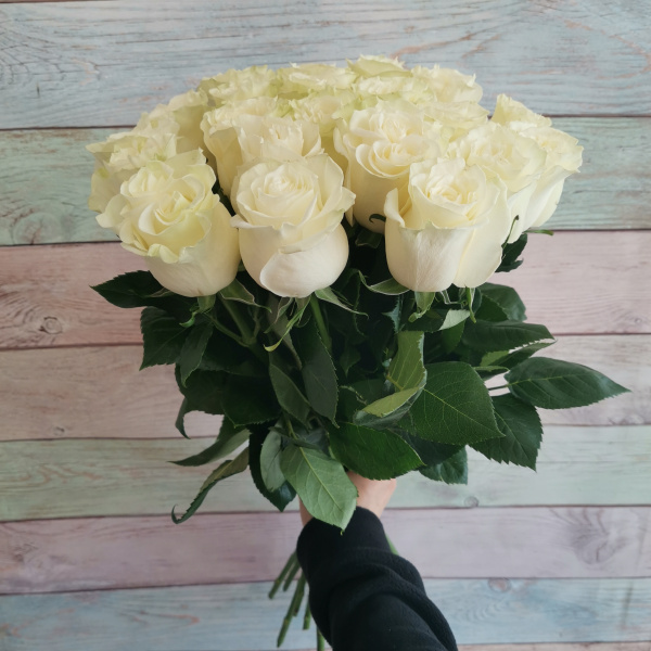 21 роза Эквадор Мондиаль