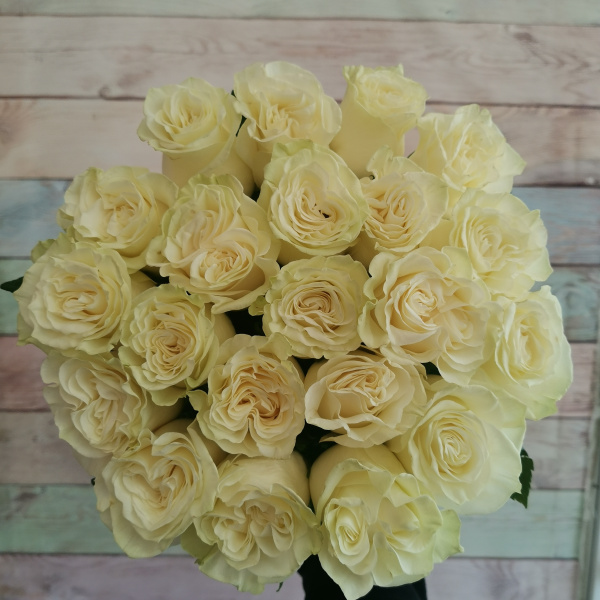 21 роза Эквадор Мондиаль