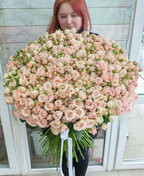 101 кустовая роза Полина 70+ см
