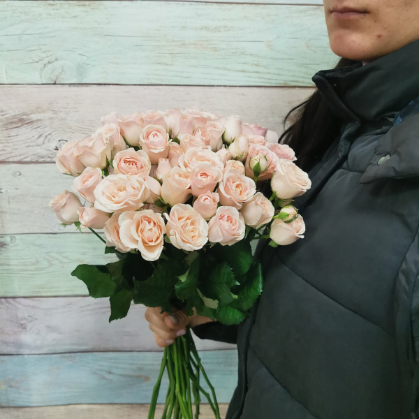 21 кустовая роза Полина