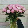 35 Пионов