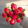 11 Пионов розовых Корал Шарм