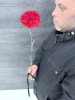 Гвоздика красная 